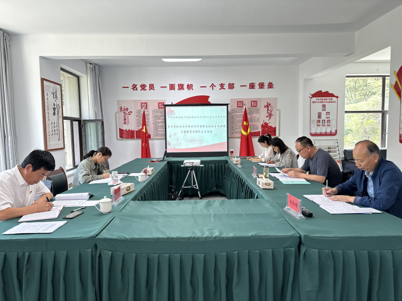 刀刃向內深入剖析 貫通融合落實整改&mdash;&mdash;民爆公司黨支部召開主題教育專題民主生活會