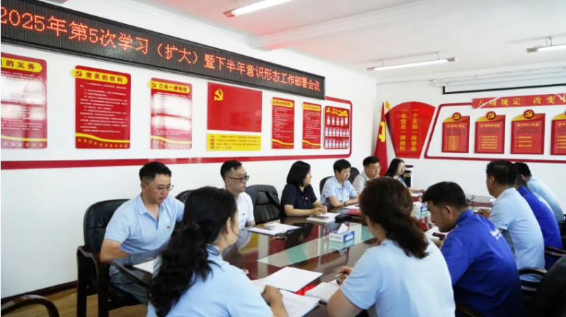 汽貿公司黨支部對學習教育&ldquo;回頭看&rdquo;工作再檢查再部署再推動