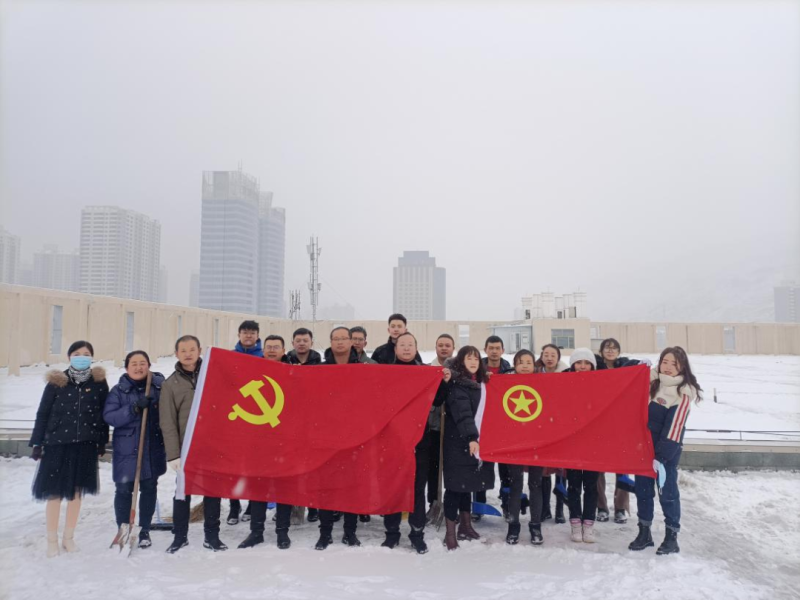 黨團齊發力 除雪在一線&mdash;&mdash;現代物流公司黨支部開展除雪保安全活動