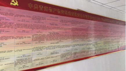 物產(chǎn)配送公司黨委&ldquo;黨的建設(shè)重點強化年&rdquo;活動2018年工作任務(wù)、組織保障具體化